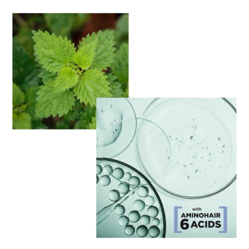 BRELIL šampūnas riebiai galvos odai ir silpniems plaukams SEBUM-BALANCING SHAMPOO, 1000ml