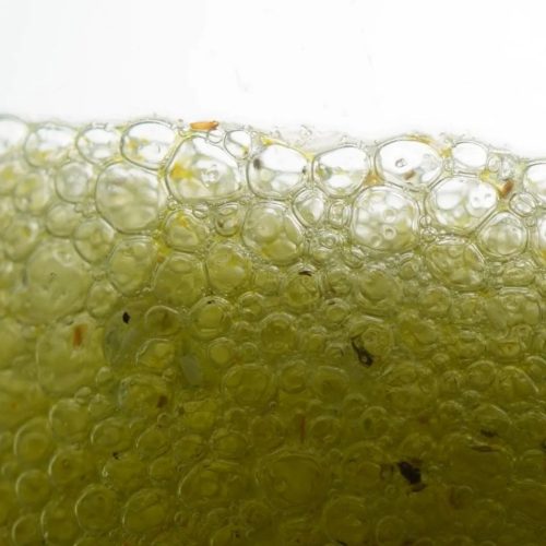 Slim Lady – skaidulų kompleksas, obuolių skonio, 225g